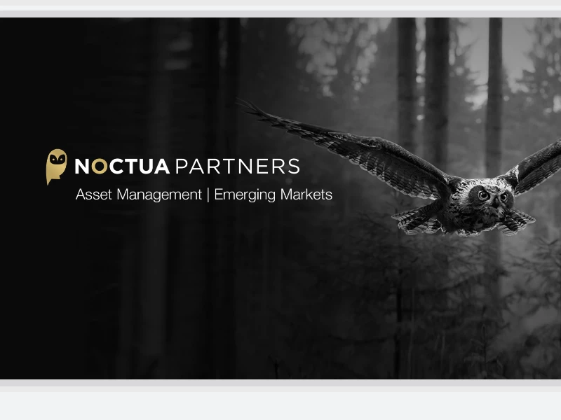 Noctua Partners