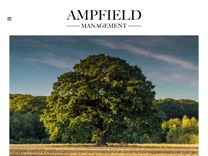 Home | Ampfield Management