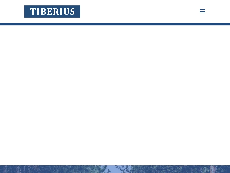 Tiberius Group - Tiberius is diversified commodity investor and manager.