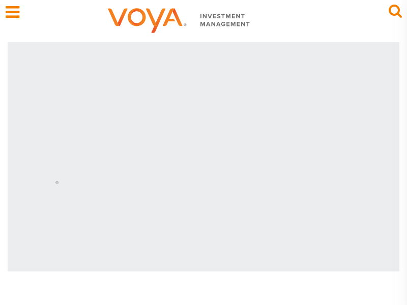 A Reliable Partner Committed to Reliable Investing | Voya Investment Management