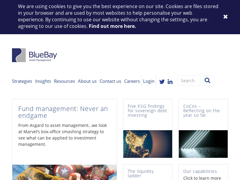 Fixed Income Specialist | BlueBay Asset Management