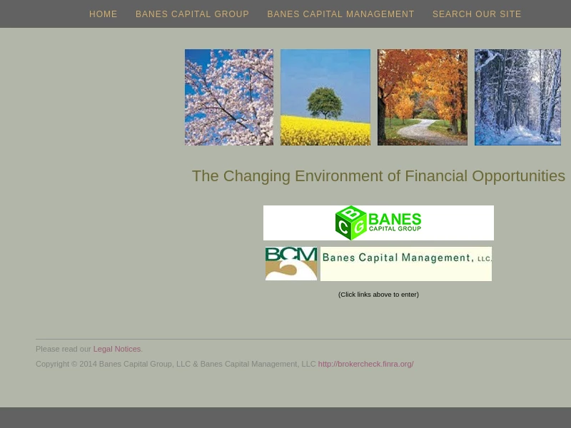 Banes Capital Management | Registered Investment Advisor