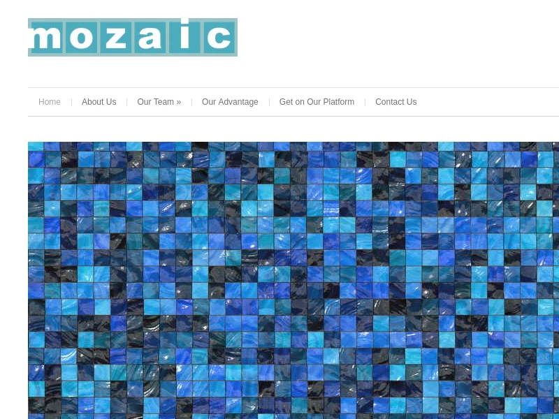 MOZAIC-LLC.COM
