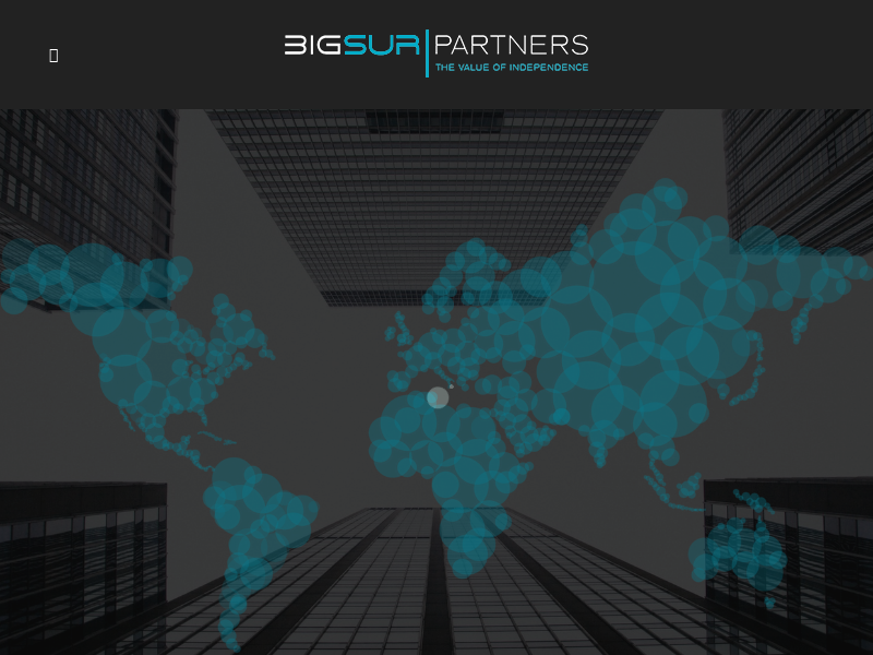 BigSur Partners |