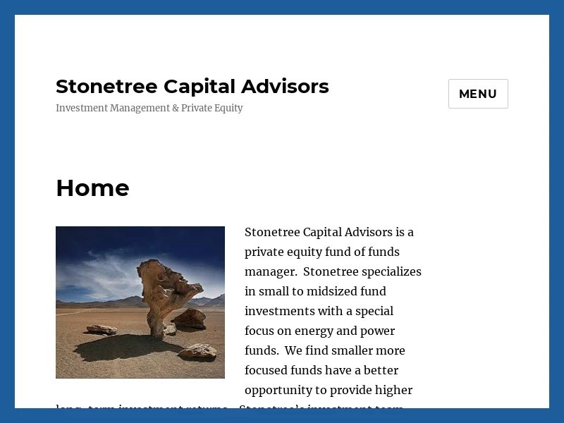 Stonetree Capital Advisors – Investment Management & Private Equity