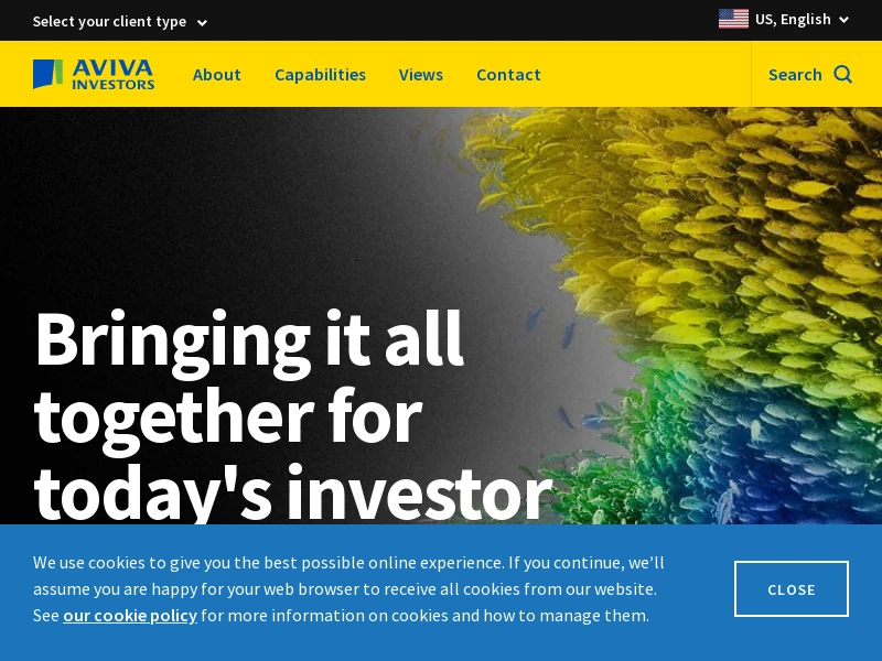 Investment Products and Capabilities - Aviva Investors