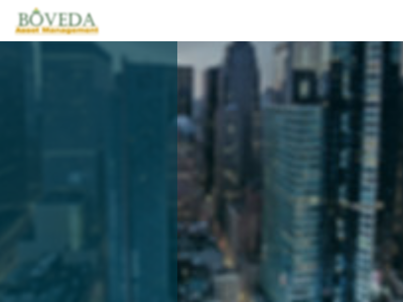 Investment Manager | United States | Bóveda Asset Management, Inc.