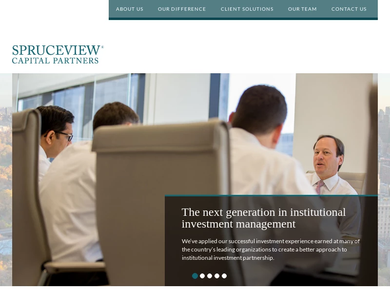 Custom Portfolio Solutions for Professional Investors | Spruceview Partners