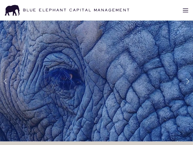 Blue Elephant Capital Management