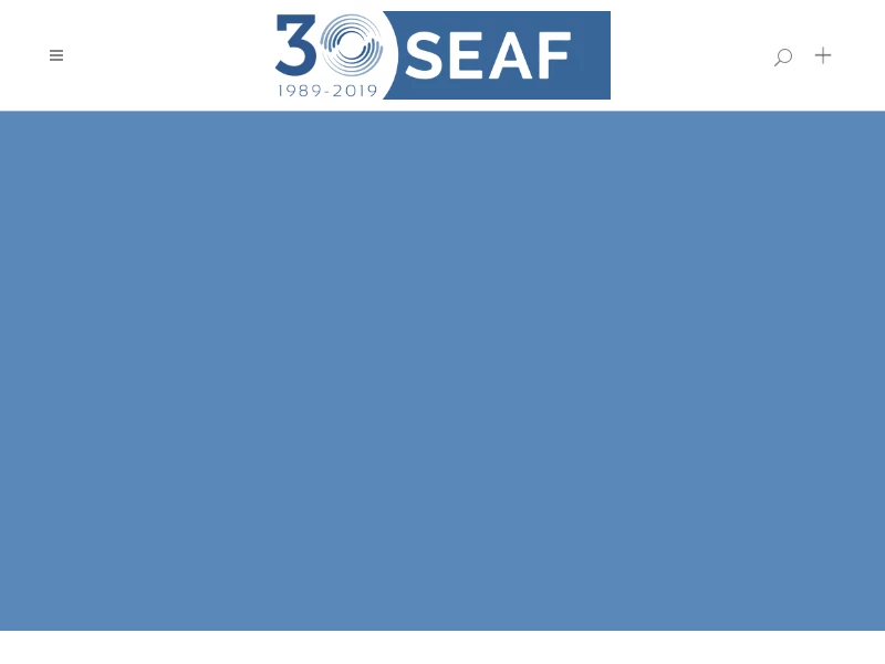 SEAF | Emerging Market Private Equity | Impact Investing