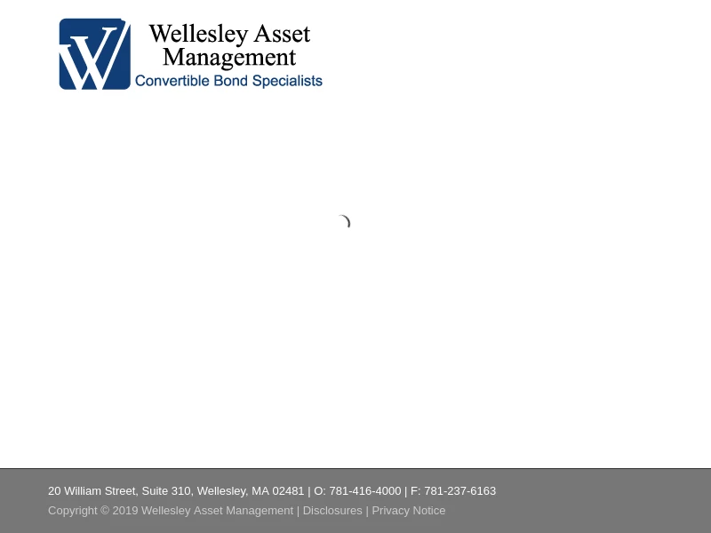 Home Page - Wellesley Investments