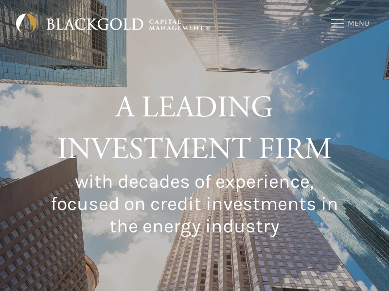Blackgold | Blackgold Capital Management | Investment Firm