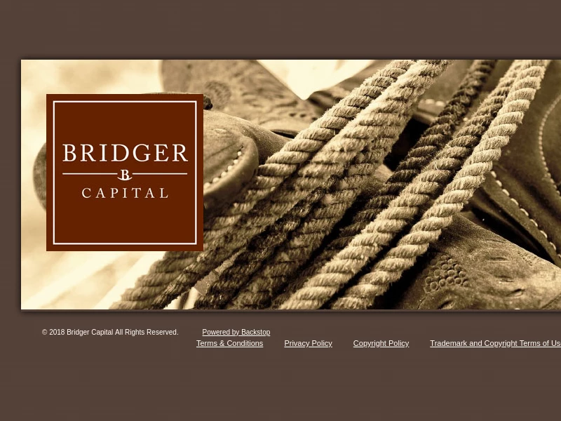 Business Summary - Bridger Management