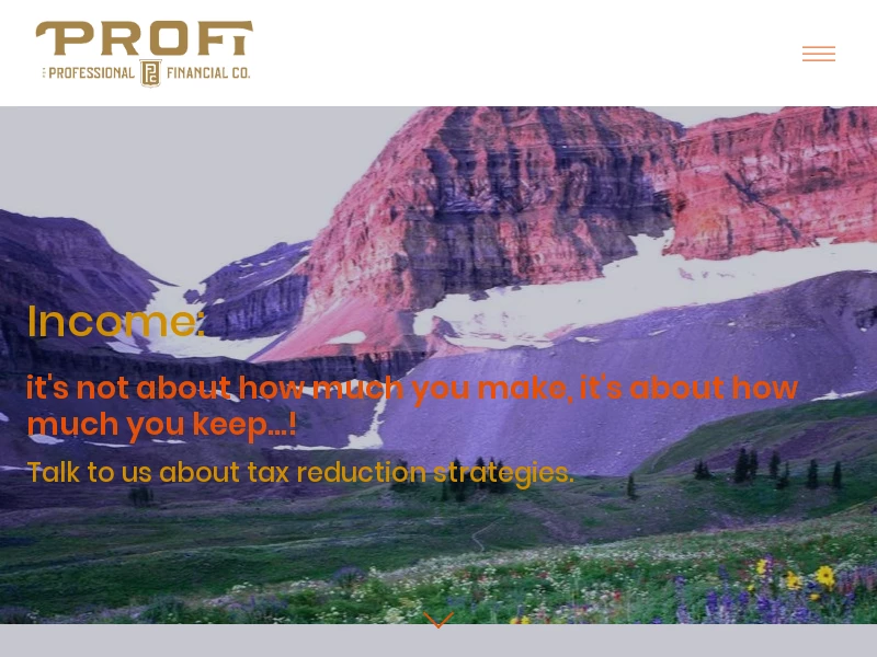 ProFi - The Professional Financial Company — ProFi