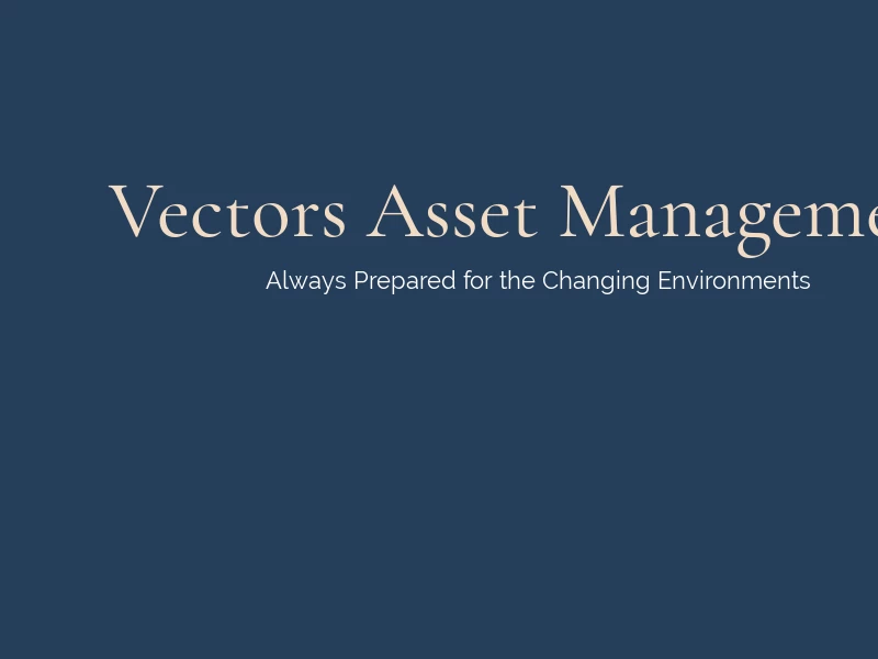 Institutional Risk & Asset Managment | Vectors Asset Management | United States