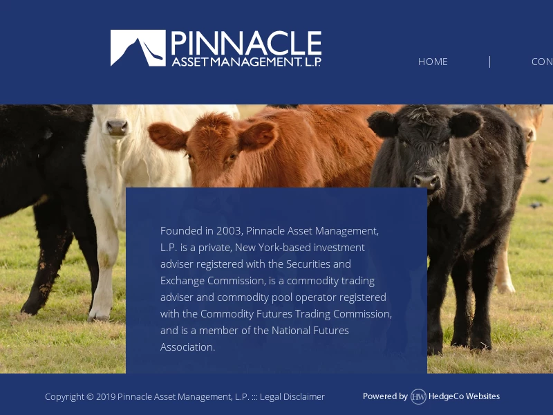 Pinnacle Asset Management, L.P.