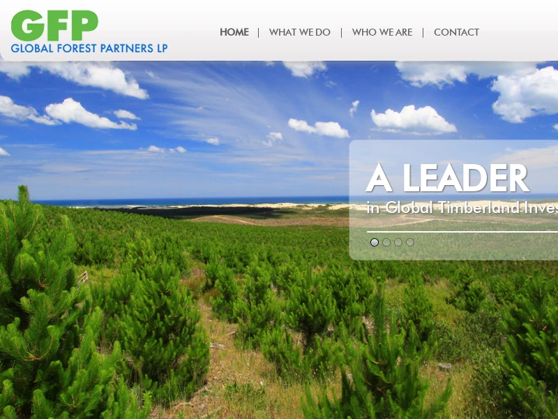 Global Forest Partners LP | Global Timberland Investing