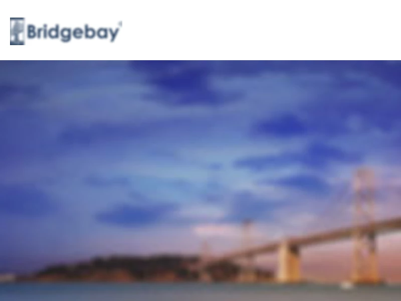 Home | Bridgebay Financial, Inc.