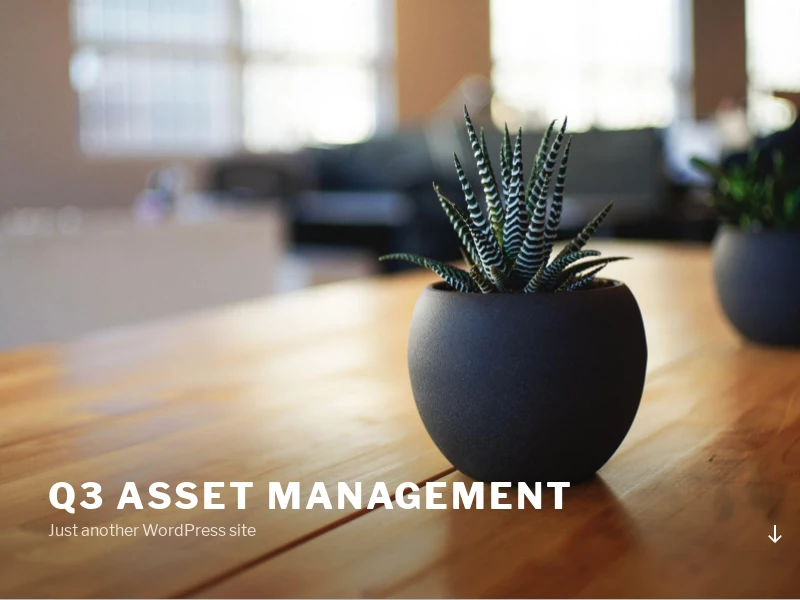 Q3 Asset Management – Just another WordPress site